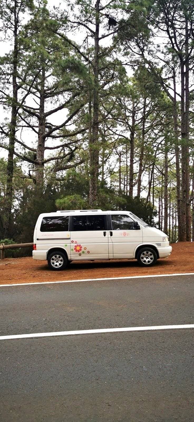 Volkswagen T4 2.5 (99)