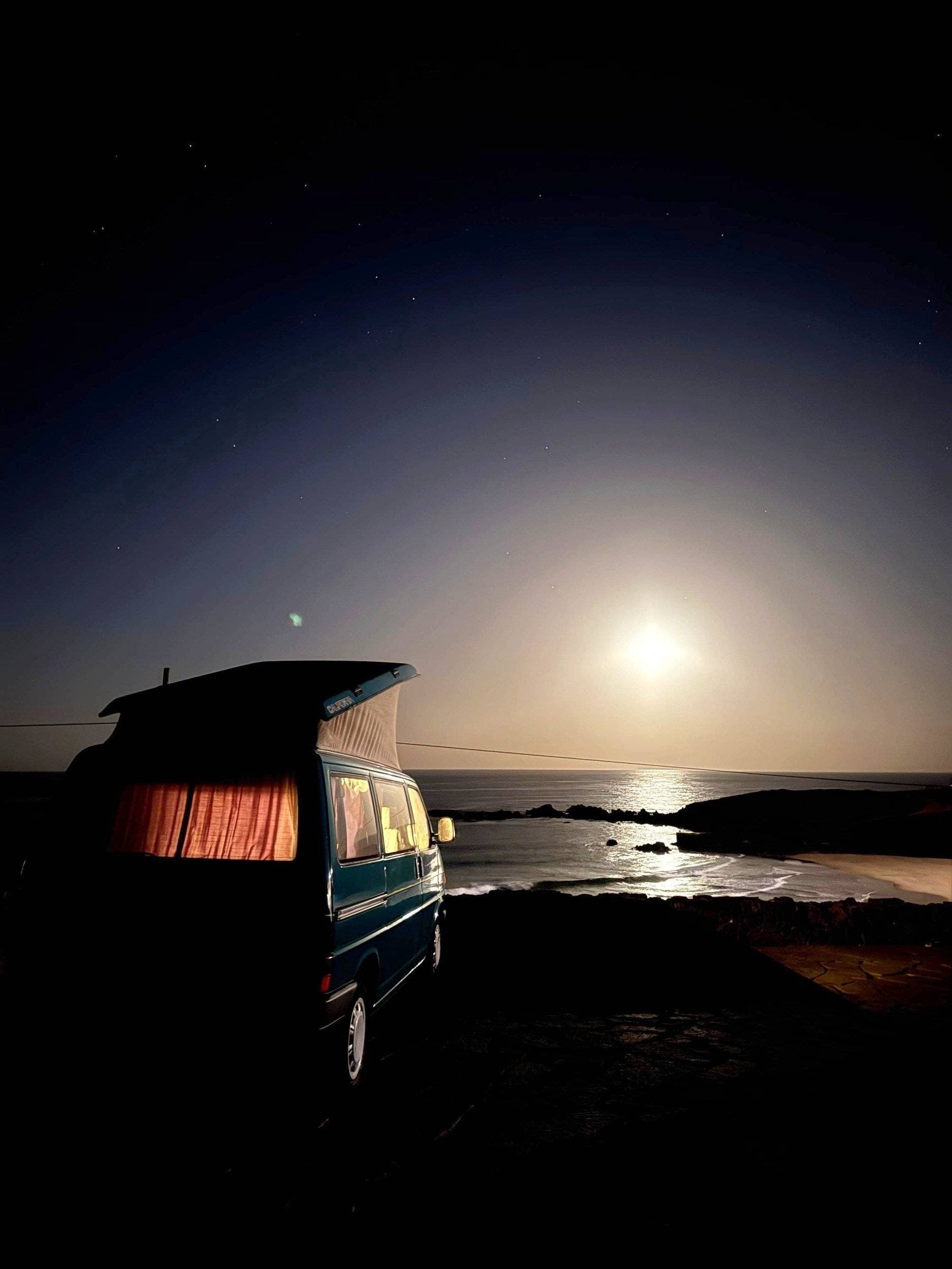 Volkswagen California (91)