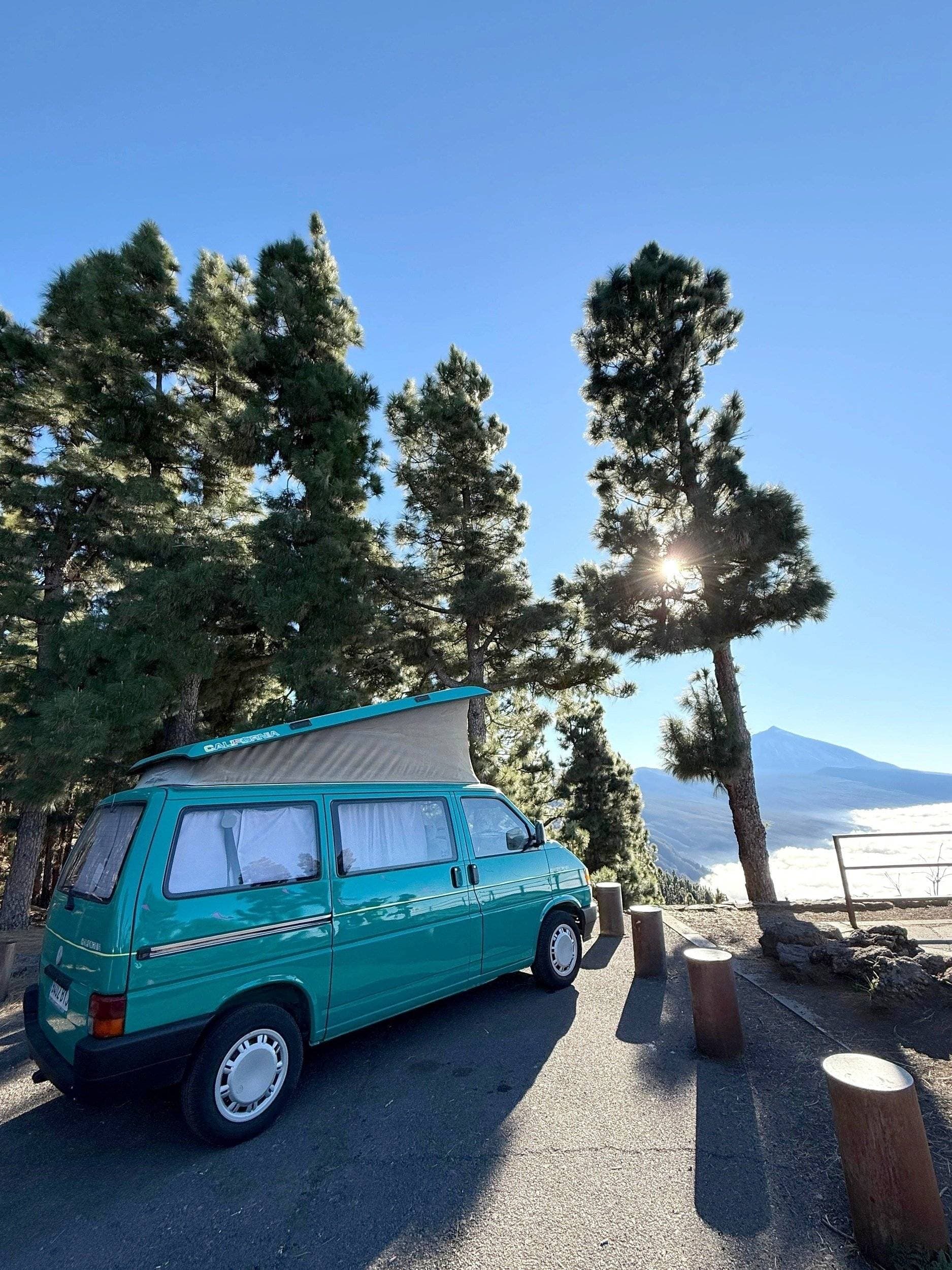 Volkswagen California (92)
